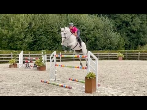 Luciana Diniz - Tuesday Exercise