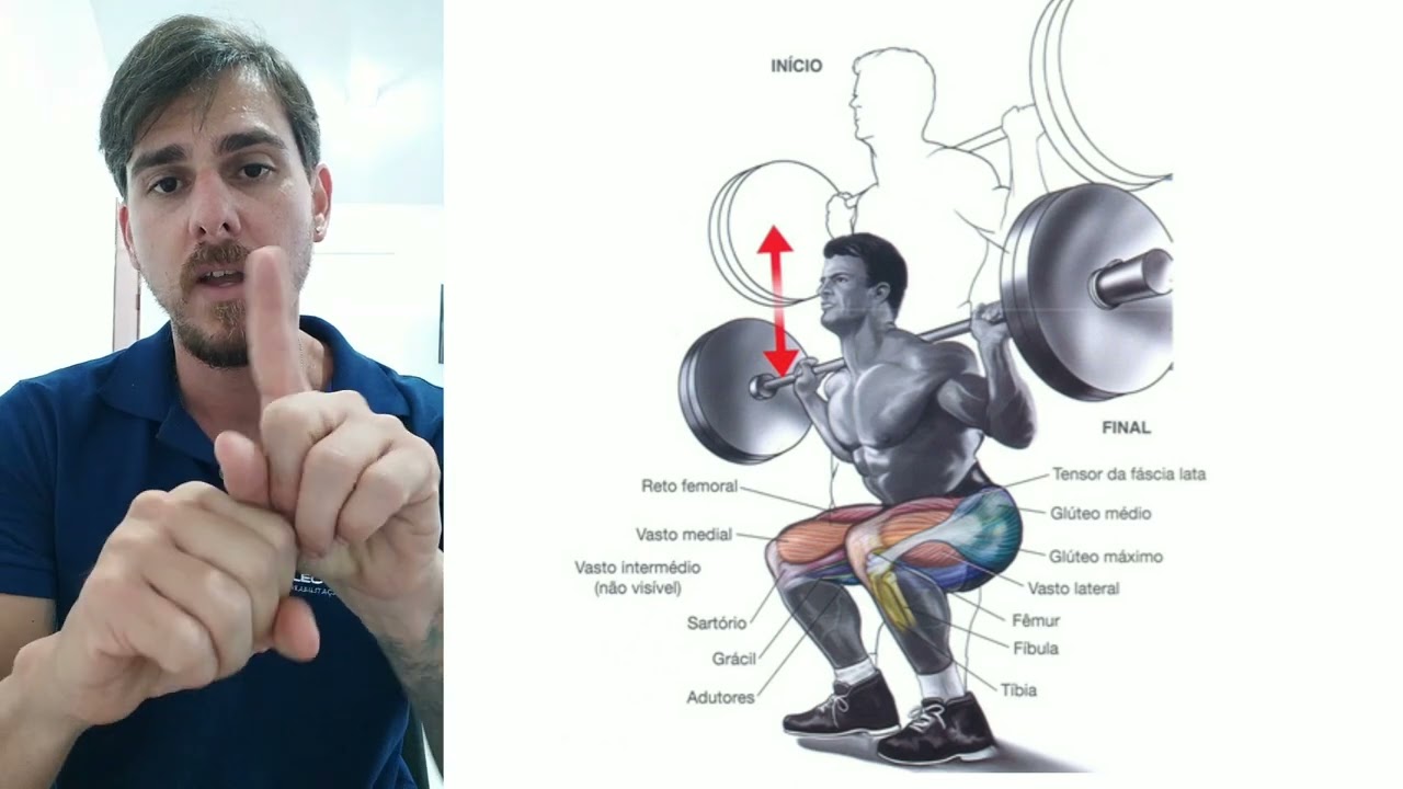 (CINESIOLOGIA E BIOMECÂNICA) BREVE ANÁLISE DO AGACHAMENTO