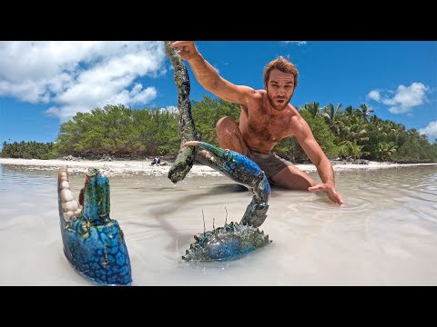 GIANT CRAB Catch & Cook (Island Survival)