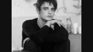 Pete Doherty - The Whole World Is Our Playground (intimate version).
