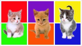 Kinderliedje: Poesje Mauw