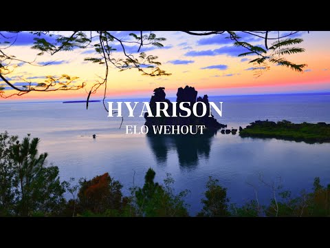 HYARISON | ELO WEHOUT