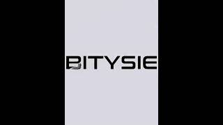 BITYSIE新作　海辺での撮影　少し欧米風で、セクシーなVネック水着２色