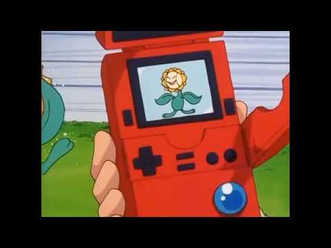 Sunkern and Sunflora Pokédex Entries..wmv
