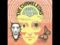 The Chameleons - Looking Inwardly (John Peel ...