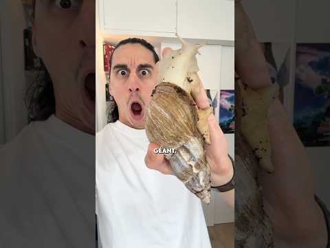 MON ESCARGOT GÉANT FÊTE SON ANNIVERSAIRE !