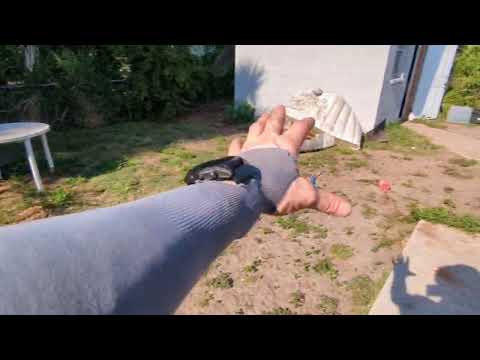 Saturday update, more sandponics work