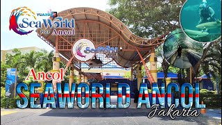 Download lagu Aquarium Raksasa Bawah Laut di SEAWORLD ANCOL JAKARTA - 2022 mp3 Download lagu Aquarium Raksasa Bawah Laut di SEAWORLD ANCOL JAKARTA - 2022 mp3