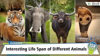 Interesting Life Span of Different Animals
