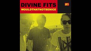 Divine Fits - &quot;Would That Not Be Nice&quot; (RJD2 Remix)