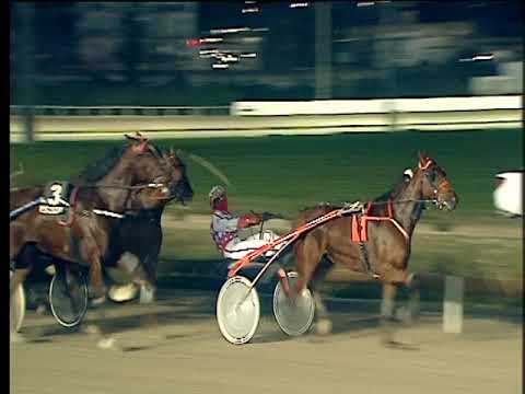 Trotto 11/02/2018 - 7ª corsa