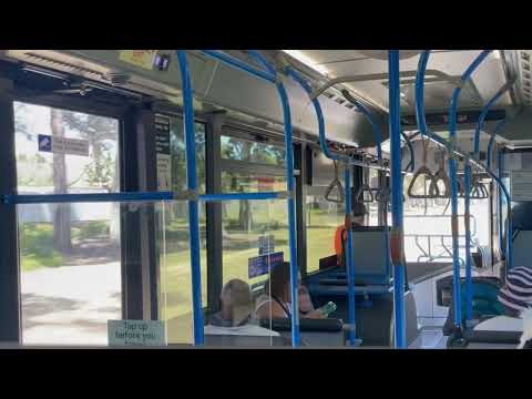 CDC Wyndham #356 (Mercedes Benz O500LE Euro 6, ZF Ecolife, Volgren Optimus) route 190