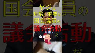 小西洋之という残念な生物 #政治 #経済対策 #立憲民主党