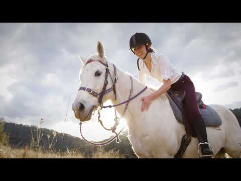 Chapman Valley Horse Riding & Camping