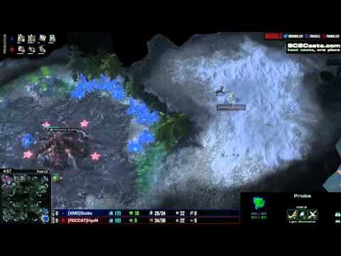 Socke v HyuN   PvZ G1