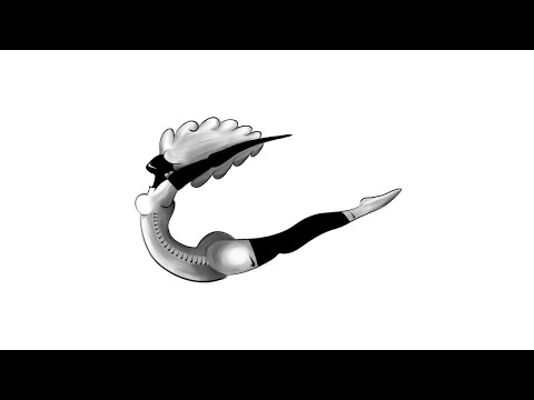 @gordaobxd x @prodcalafate - Dri-Fit