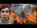 Zoo Main Agg Lag Gai Sab Pets Jalna Laga
