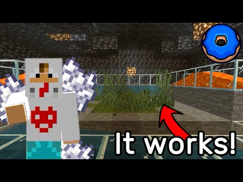 Good BONE MEAL Farm on Donut SMP (+ Tutorial)