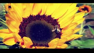 Download lagu Ustadz Hanan Attaki Nasehat Untuk Para Wanita mp3 Download lagu Ustadz Hanan Attaki Nasehat Untuk Para Wanita mp3