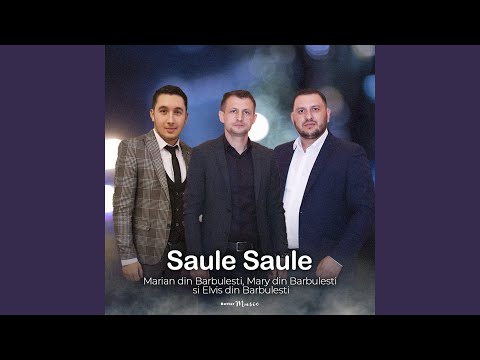 Saule Saule (feat. Elvis din Barbulesti, Mary din Barbulesti)