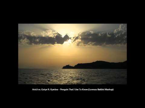 Avicii vs. Gotye ft. Kimbra - Penguin That I Used To Know (Lorenzo Baldini Mashup)