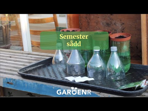 Semestersådd - Trädgårdshacks med GardenR