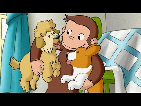 Curious George 🐵 1 Hour Compilation 🐵 HD 🐵 Cartoons For Children