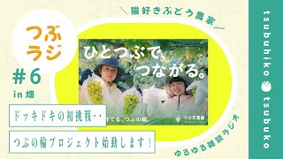【農家ラジオ】シャインマスカット作業しながら夫婦で雑談🍇クラファンに挑戦します！｜つぶラジ vol.6