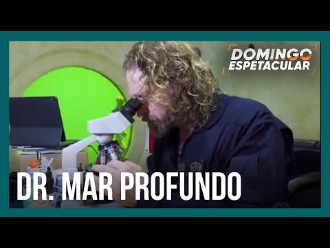 Conheça o "hotel submerso" onde um homem ficou hospedado por cem dias