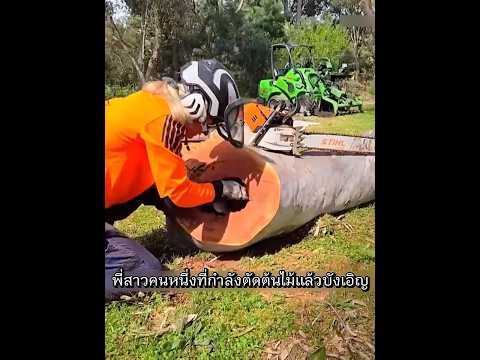 เธอทำลายบ้านลิงโดยไม่ตั้งใจ