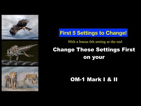 The First 5 Settings to change on your OM-1 Mark I and Mark 2