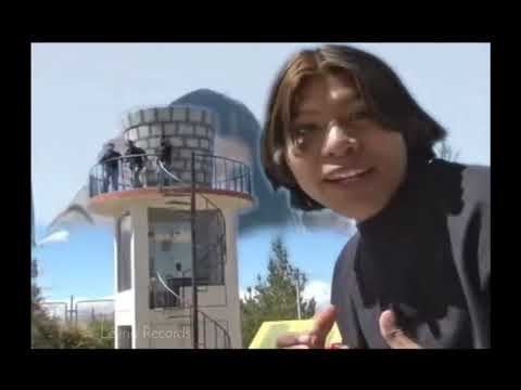 Ya No Me Busques - Los Felinos