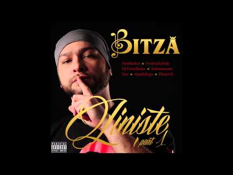 Bitza - Jurnal de cord