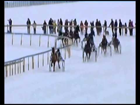 Grand Prix BMW_Snow Trotting Championssuisse 2015_Terry Gahn_Caroline Huguelet