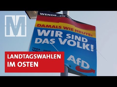 Warum die AfD im Osten so erfolgreich ist – MONITOR