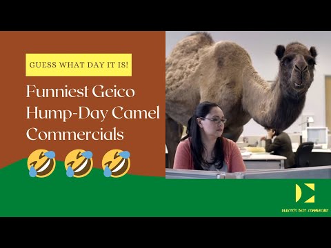 Iconic & Extremely Funny Geico Hump Day Camel Commercials (Compiled)