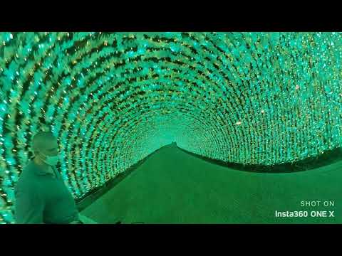 Enjoy fields of beautiful flowers and eco-friendly illuminations at Nabana no Sato