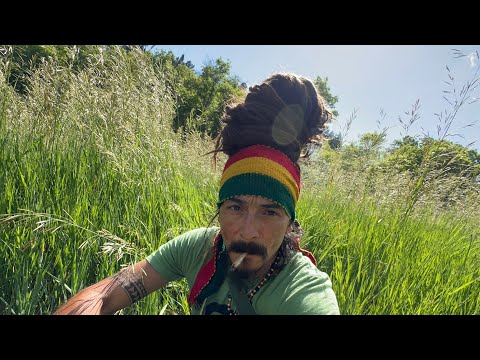 “Free” OFFICIAL music video by Dre z Melodi