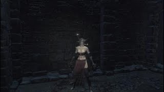 ダークソウル３ 22 楔石の原盤 無限増殖 バグ 裏技 تنزيل الموسيقى Mp3 مجانا