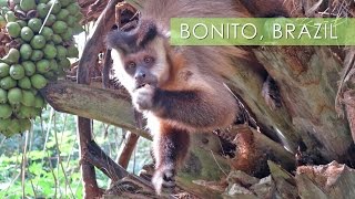 Bonito, Mother Nature's Playground - Travel Deeper Brazil (Ep. 11)