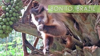 Bonito, Mother Nature's Playground - Travel Deeper Brazil (Ep. 11)
