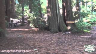 Big Sur Campground and Cabins Video