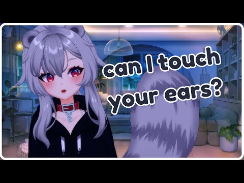 【ASMR】Can't sleep? Come sit with me. 🌧️🦝 (soft spoken comfort, brushing, kisses)