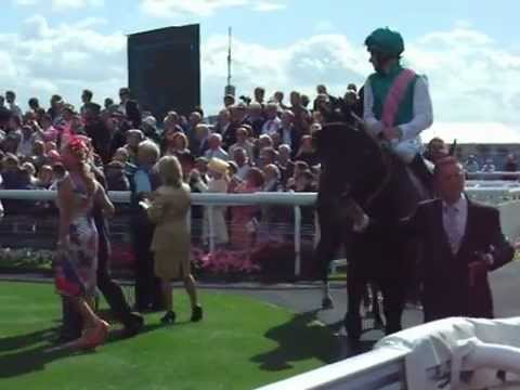 2012 Juddmonte International Stakes York. Paddock including Twice Over, St Nicholas Abbey etc