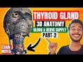 Blood Supply Of Thyroid Gland Anatomy Nerve Supply Of Thyroid Gland Thyroid Gland Relations