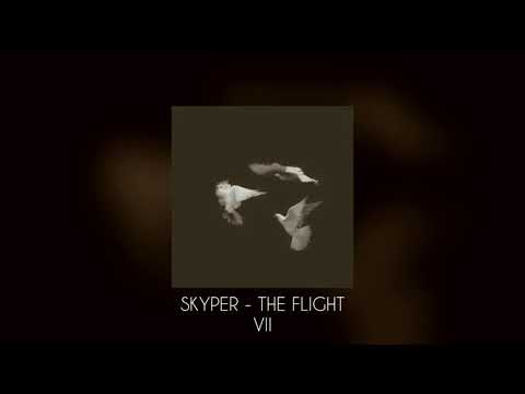 Skyper - The Flight VII