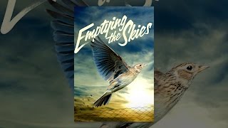 Emptying the Skies
