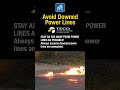 Avoid Downed Power Lines