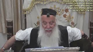 714הלכה יומיתסימן שצז- דין שביתת היחיד וכליו המהלך אלפיים אמה סעיף יד-טז הרב בניהו שמואלי