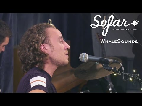 WhaleSounds - Falling Down | Sofar Vilnius